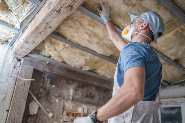 Types of Insulation We Offer in Lewisville, WA