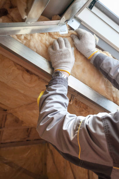 Professional Insulation Contractor in Lewisville, WA